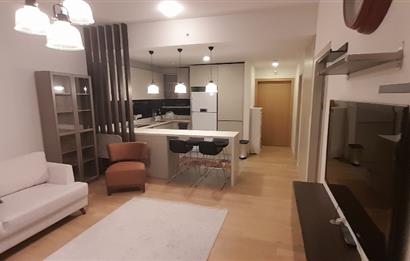 İncek loft 1+1 kiralık