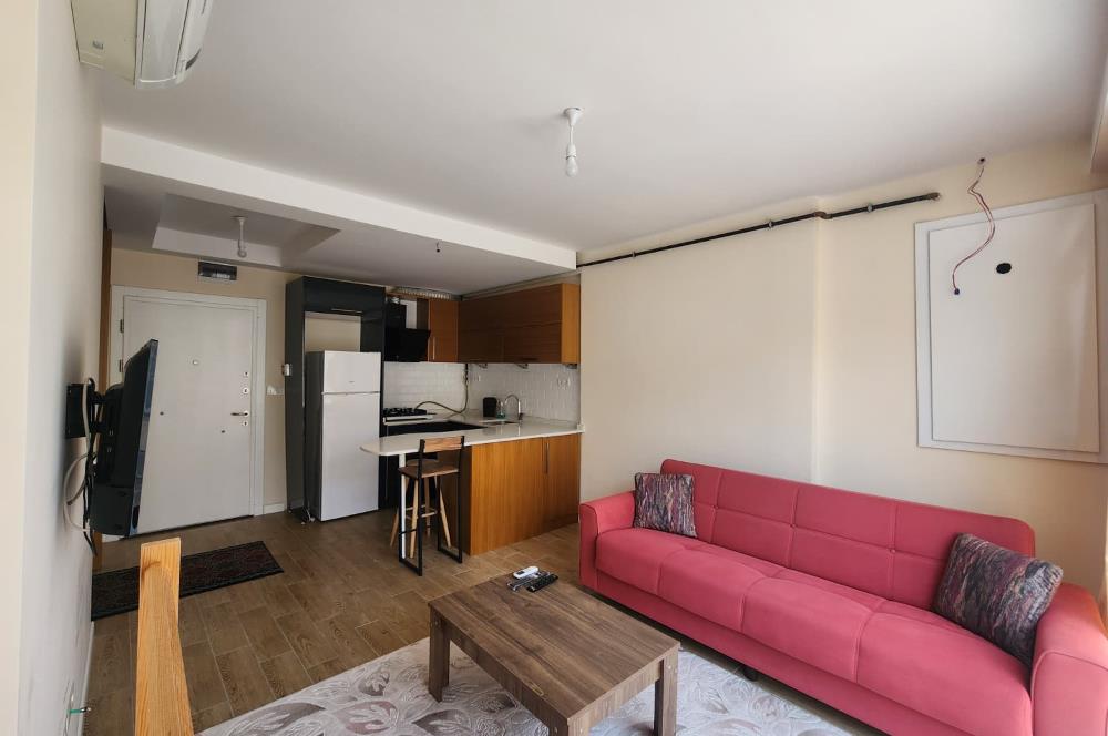 C21 BAL'DAN PLEVNE MH ŞEHİT BİROL KOÇ CD.DE EŞYALI 1+1 KİRALIK DAİRE