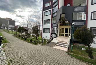 C21 BAL'DAN TOKİ YENİ MAH. KİRALIK 1+1 DAİRE - 4 - 36339