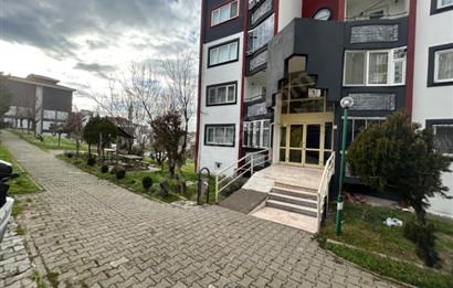 C21 BAL'DAN TOKİ YENİ MAH. KİRALIK 1+1 DAİRE