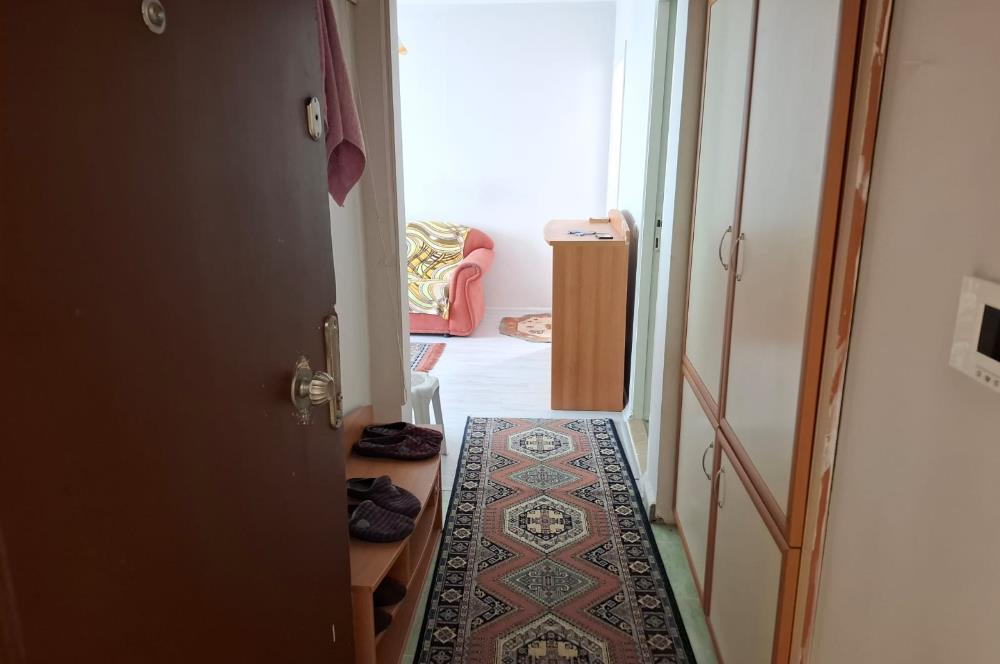 C21 BAL'DAN TOKİ YENİ MAH. KİRALIK 1+1 DAİRE