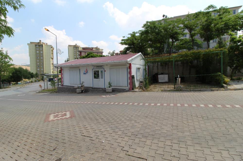 C21 BAL'DAN TOKİ YENİ MAH. KİRALIK 1+1 DAİRE