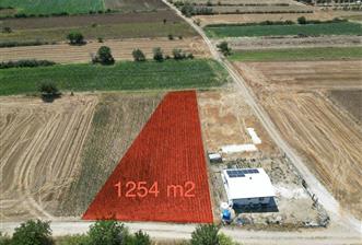 C21 DOĞAN'DAN CEYLANKÖY'DE SATILIK 1254 m2 ARSA - 1 - 36371