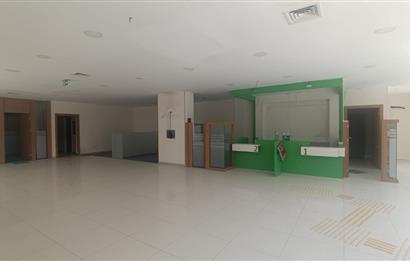 C21 LOFT'TAN BOZKURT'TA 600m² KİRALIK İŞYERİ