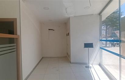 C21 LOFT'TAN BOZKURT'TA 600m² KİRALIK İŞYERİ