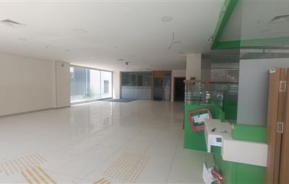 C21 LOFT'TAN BOZKURT'TA 600m² KİRALIK İŞYERİ