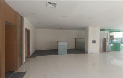C21 LOFT'TAN BOZKURT'TA 600m² KİRALIK İŞYERİ