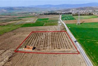 BANDIRMA YENİYENİCE MH. SATILIK 7788 M2, 2 KAT RUHSATLI BAĞ EVİ - 1 - 32406