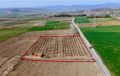 BANDIRMA YENİYENİCE MH. SATILIK 7788 M2, 2 KAT RUHSATLI BAĞ EVİ