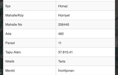 Honaz’da Satılık Tarla