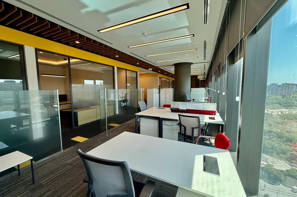 Vadistanbul Kiralık Ofis 1406m2 TamKat Dekorasyonlu Teraslı Ofis
