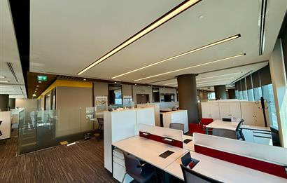 Vadistanbul Kiralık Ofis 1406m2 TamKat Dekorasyonlu Teraslı Ofis