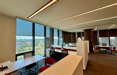 Vadistanbul Kiralık Ofis 1406m2 TamKat Dekorasyonlu Teraslı Ofis