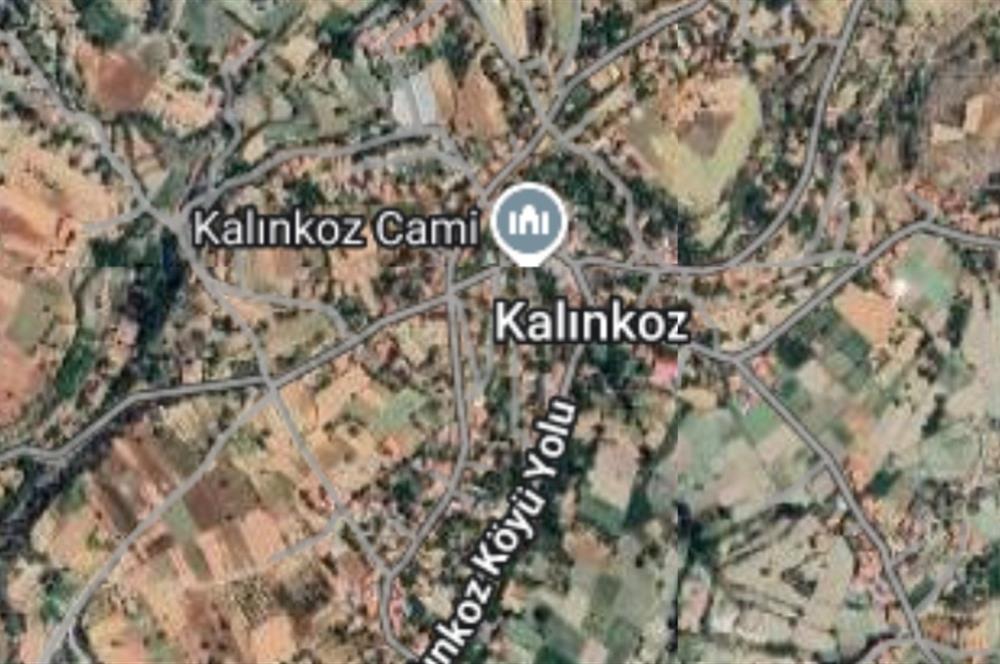 C21 Loft'tan Çameli Kalınkoz'da Satılık Tarla 