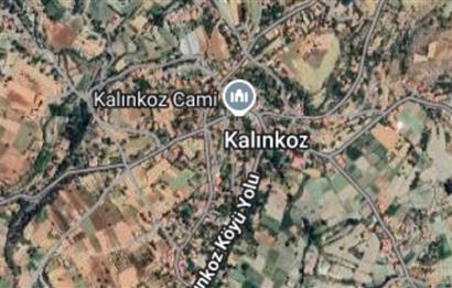 C21 Loft'tan Çameli Kalınkoz'da Satılık Tarla 
