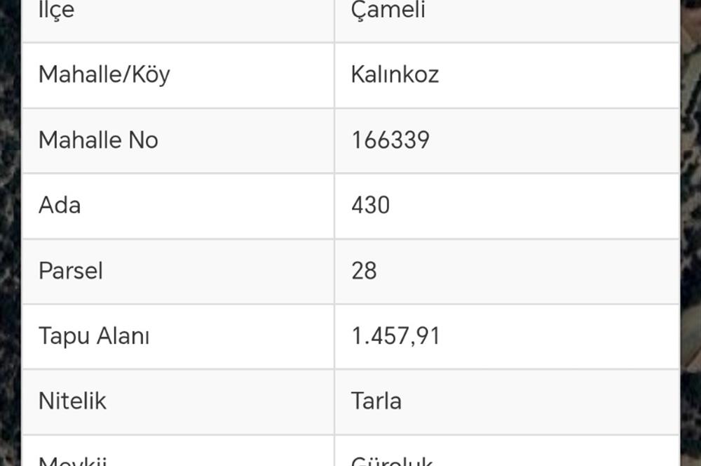 C21 Loft'tan Çameli Kalınkoz'da Satılık Tarla 
