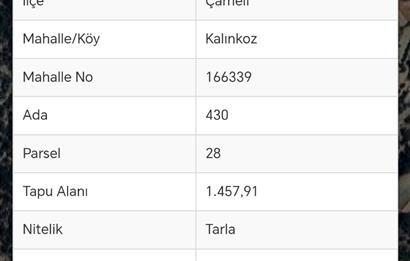 C21 Loft'tan Çameli Kalınkoz'da Satılık Tarla 