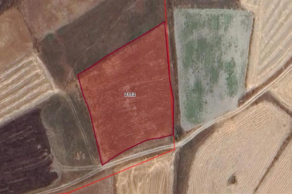C21 BAL'dan Balıklı mah. 4 Dönüm Yolu olan Ekilebilir Tarla