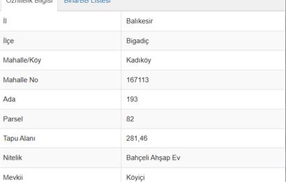C21 Bal'dan Bigadiç Kadıköy'de Satılık Bahçeli Ahşap Ev
