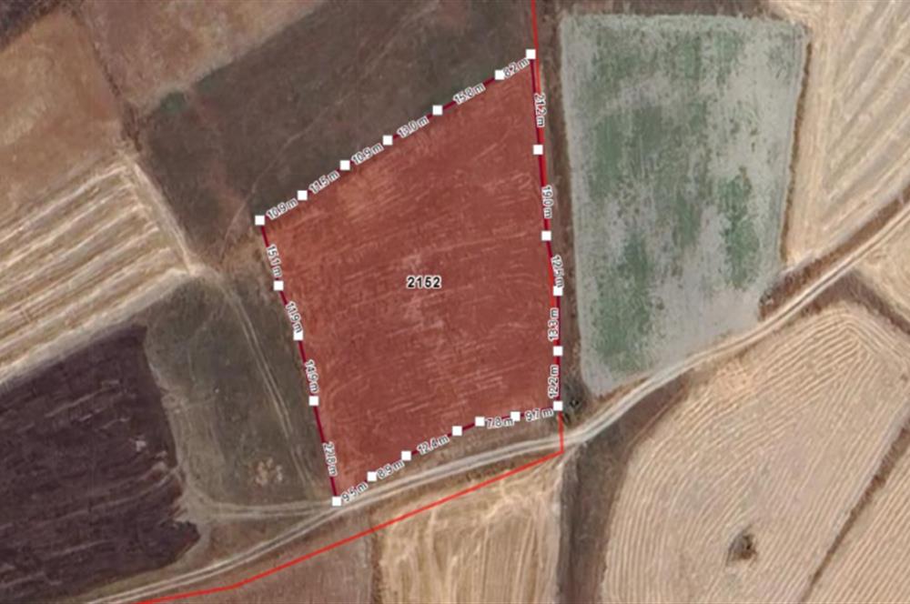 C21 BAL'dan Balıklı mah. 4 Dönüm Yolu olan Ekilebilir Tarla