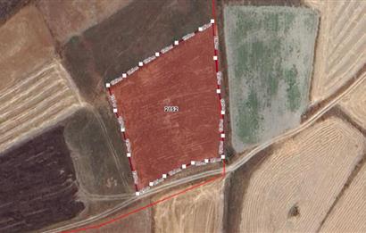 C21 BAL'dan Balıklı mah. 4 Dönüm Yolu olan Ekilebilir Tarla