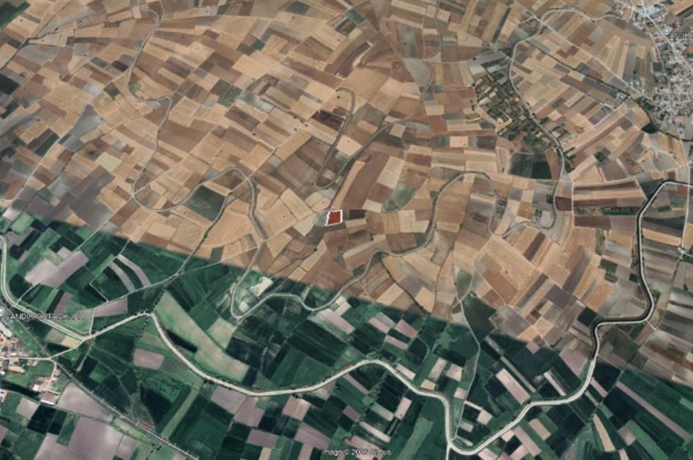 C21 BAL'dan Balıklı mah. 4 Dönüm Yolu olan Ekilebilir Tarla