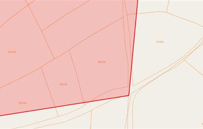 C21 BAL'dan Balıklı mah. 4 Dönüm Yolu olan Ekilebilir Tarla