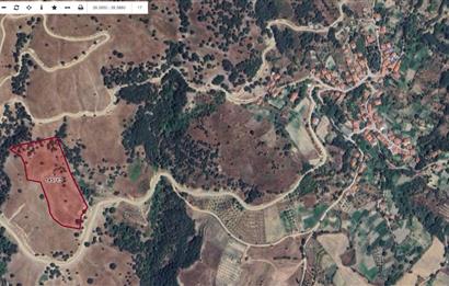 BALIKESİR SINDIRGI YOLA CEPHELİ 17.028 M2 SATILIK TARLA