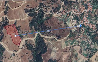 BALIKESİR SINDIRGI YOLA CEPHELİ 17.028 M2 SATILIK TARLA