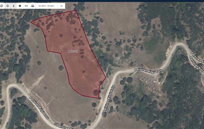 BALIKESİR SINDIRGI YOLA CEPHELİ 17.028 M2 SATILIK TARLA