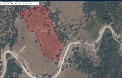 BALIKESİR SINDIRGI YOLA CEPHELİ 17.028 M2 SATILIK TARLA