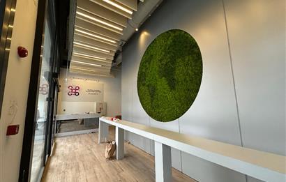 Vadistanbul Satılık Dükkan Banka Kiracılı 500m2 Porta Vadi