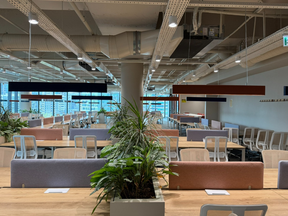 Vadistanbul'da 791m² Eşyalı, Teraslı Kiralık Ofis