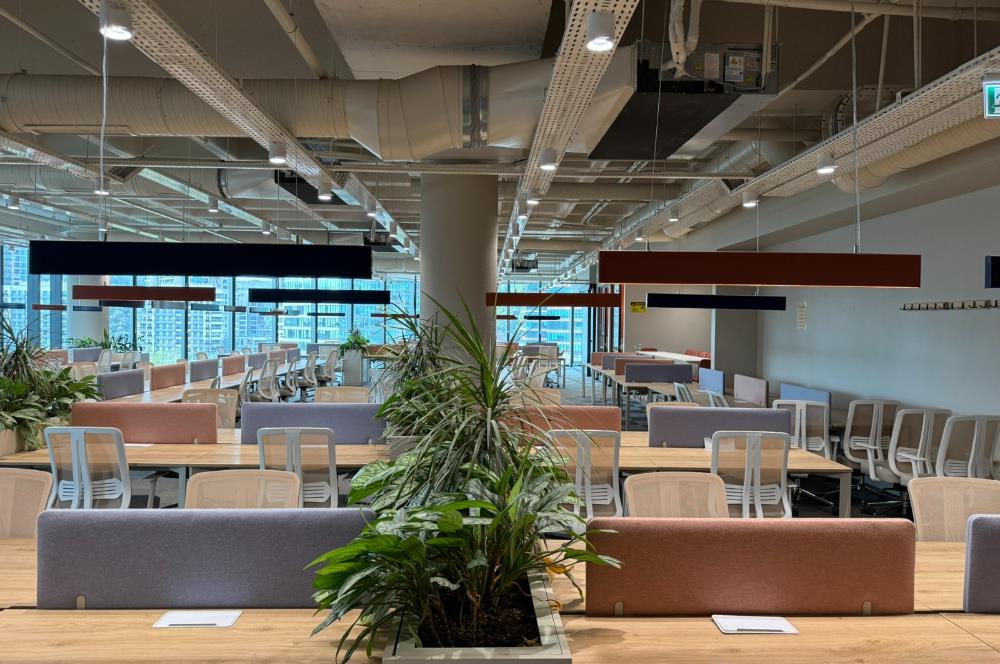 Vadistanbul'da 791m² Eşyalı, Teraslı Kiralık Ofis