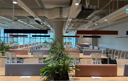 Vadistanbul'da 791m² Eşyalı, Teraslı Kiralık Ofis
