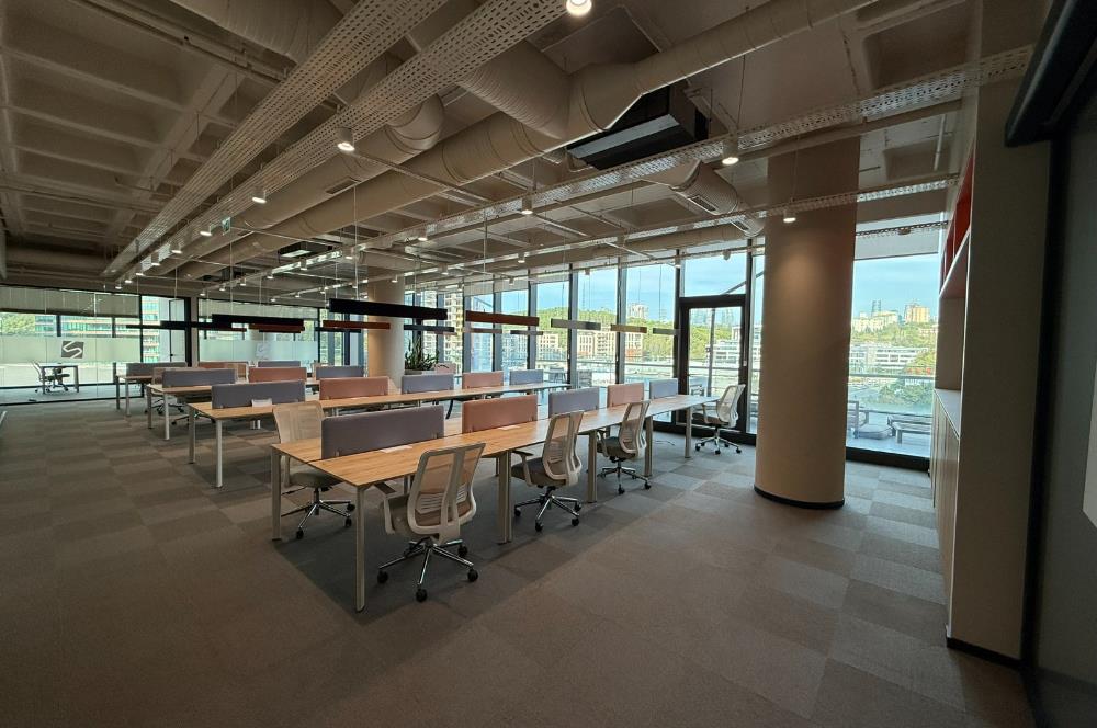 Vadistanbul'da 791m² Eşyalı, Teraslı Kiralık Ofis