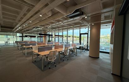Vadistanbul'da 791m² Eşyalı, Teraslı Kiralık Ofis