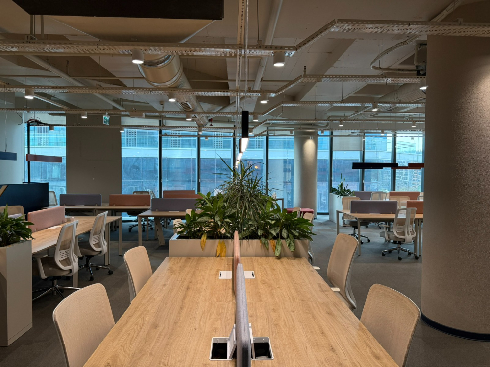 Vadistanbul'da 791m² Eşyalı, Teraslı Kiralık Ofis