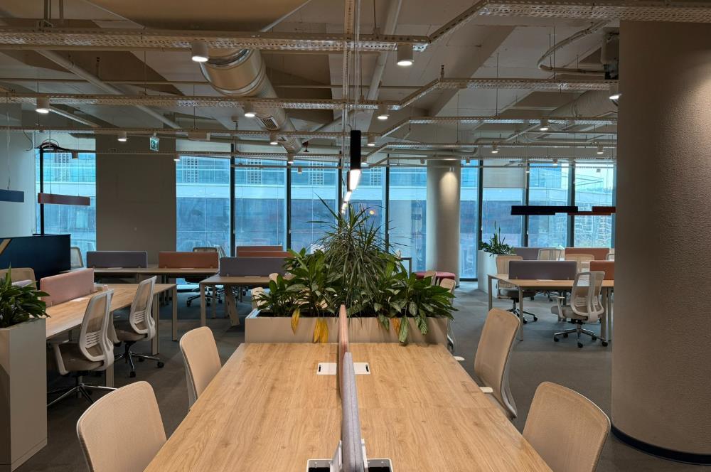 Vadistanbul'da 791m² Eşyalı, Teraslı Kiralık Ofis
