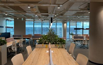 Vadistanbul'da 791m² Eşyalı, Teraslı Kiralık Ofis
