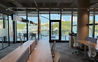 Vadistanbul'da 791m² Eşyalı, Teraslı Kiralık Ofis
