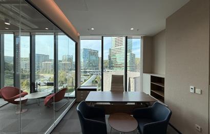 Vadistanbul'da 791m² Eşyalı, Teraslı Kiralık Ofis
