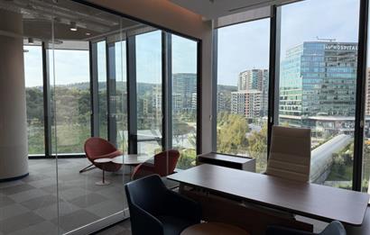 Vadistanbul'da 791m² Eşyalı, Teraslı Kiralık Ofis