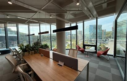 Vadistanbul'da 791m² Eşyalı, Teraslı Kiralık Ofis