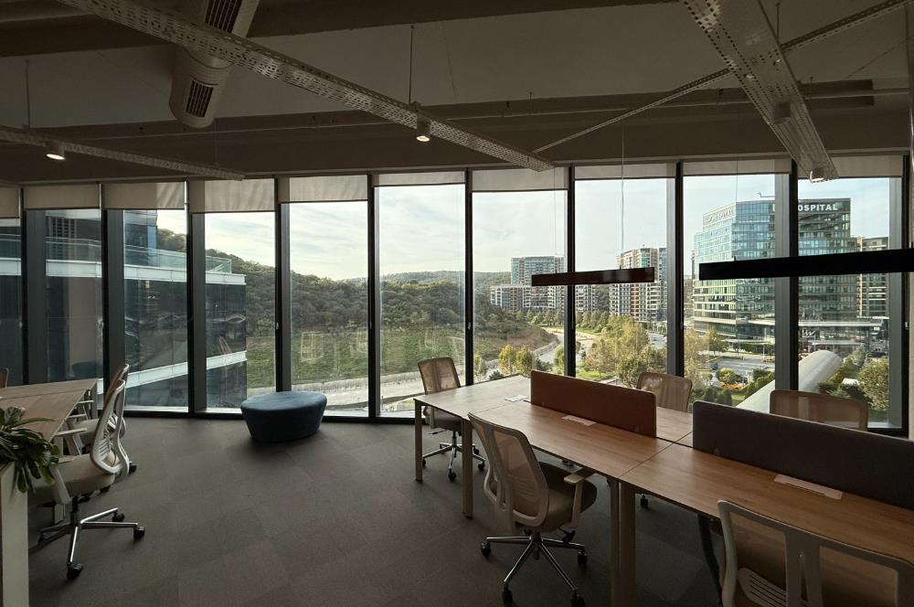 Vadistanbul'da 791m² Eşyalı, Teraslı Kiralık Ofis