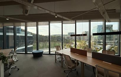Vadistanbul'da 791m² Eşyalı, Teraslı Kiralık Ofis