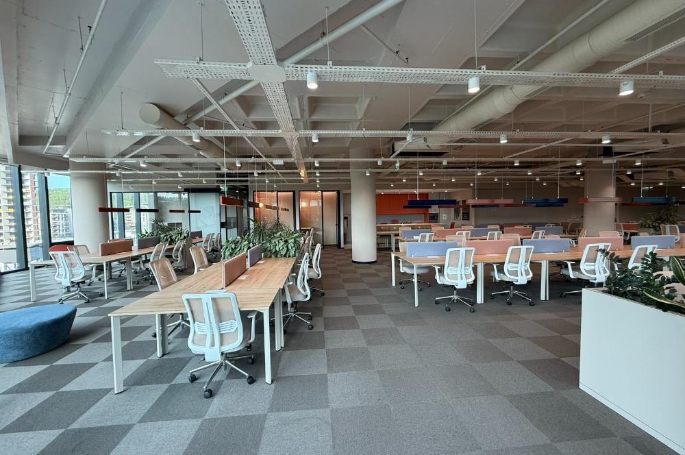 Vadistanbul'da 791m² Eşyalı, Teraslı Kiralık Ofis