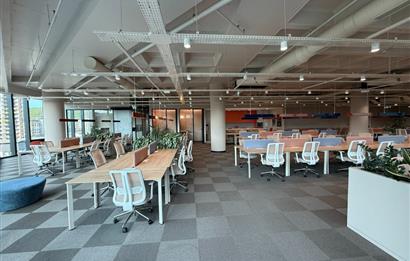Vadistanbul'da 791m² Eşyalı, Teraslı Kiralık Ofis