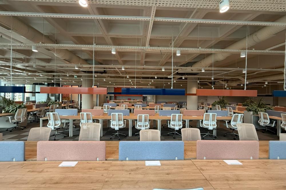 Vadistanbul'da 791m² Eşyalı, Teraslı Kiralık Ofis