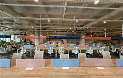 Vadistanbul'da 791m² Eşyalı, Teraslı Kiralık Ofis